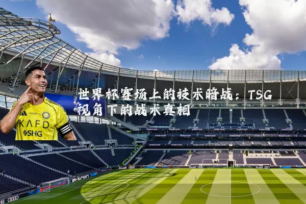 世界杯赛场上的技术暗战：TSG视角下的战术真相